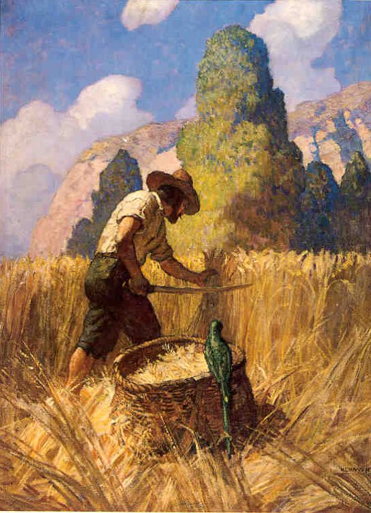 ...I reap'd it my Way, for I cut nothing off but the Ears, and carry'd it away in a great Basket which I had made...