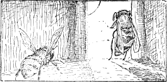 CHAPTER 14