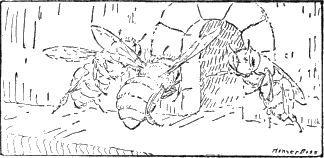 CHAPTER 15