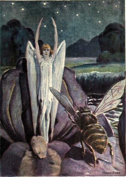 A human being in miniature was coming up out of the iris